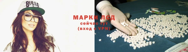 ПСИЛОЦИБИНОВЫЕ ГРИБЫ Аркадак