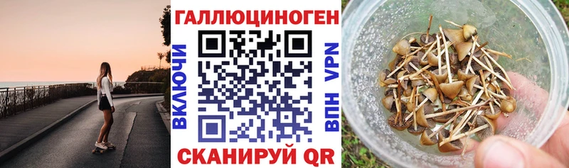 купить закладку  Рыбное  Псилоцибиновые грибы MAGIC MUSHROOMS 